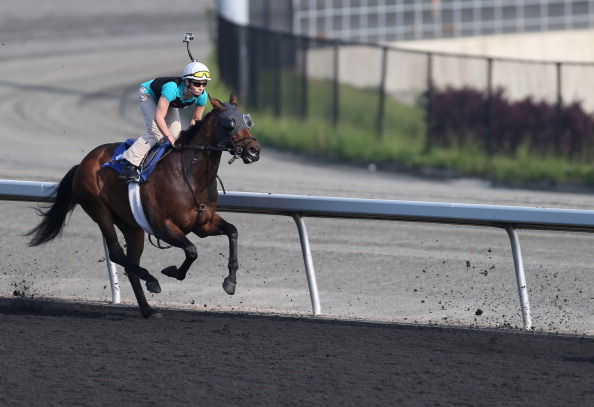 (Rene Johnston/Toronto Star via Getty Images)